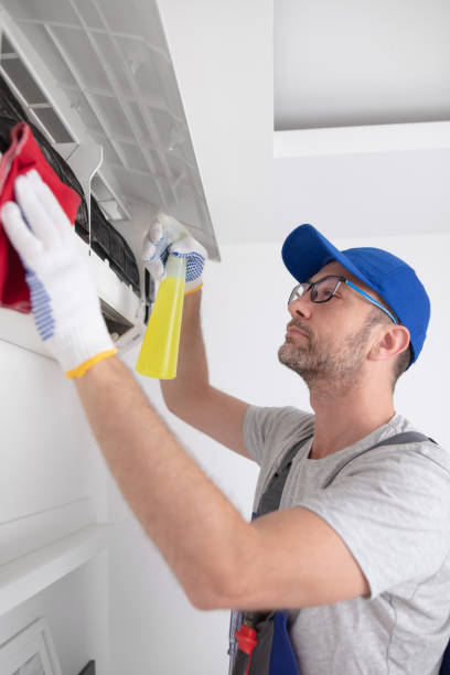 Best Home Air Vent Cleaning  in Estherville, IA